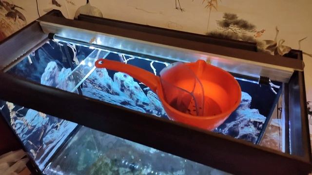 Перезапуск аквариума смотреть онлайн