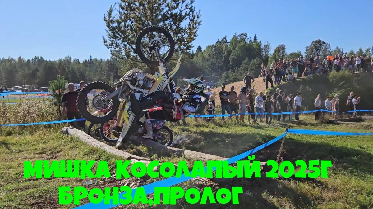 МИШКА КОСОЛАПЫЙ 2025г бронза,пролог.