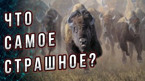 Что самое страшное на свете? Тяжело идти против стада, толпы, общественного мнения Андрей Буровский