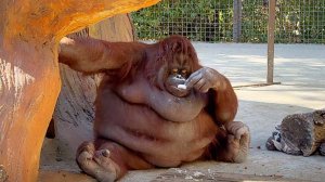 Нарисовала себе усы, сделала макияж и ждёт принца! Дана веселила всех! Принесли новую полезную штуку