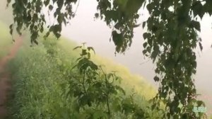 Истории из жизни|Неравный брак и холодная свадьба|Аудио рассказы|Аудиокниги слушать онлайн|Жизненные