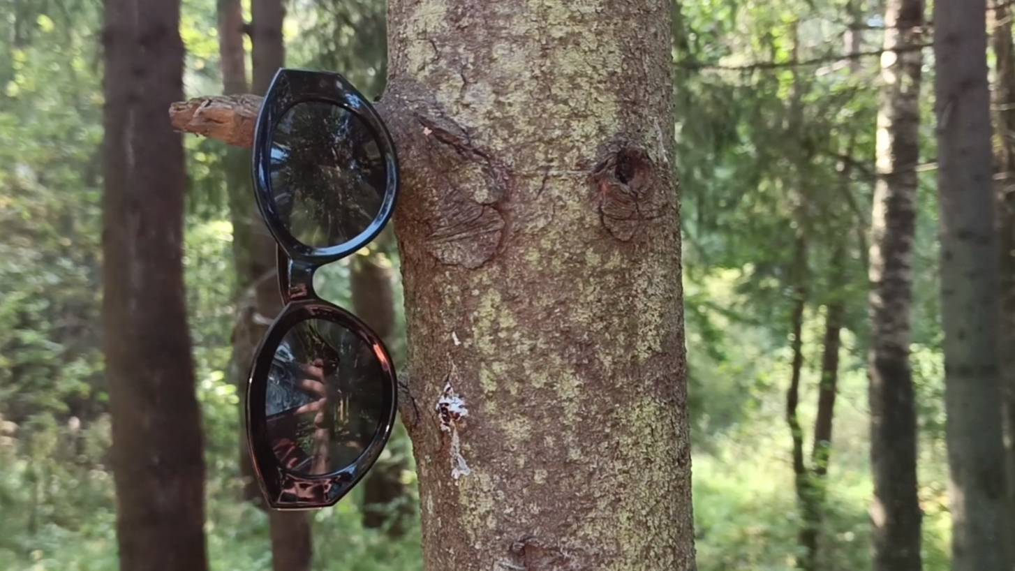 Очки в лесу