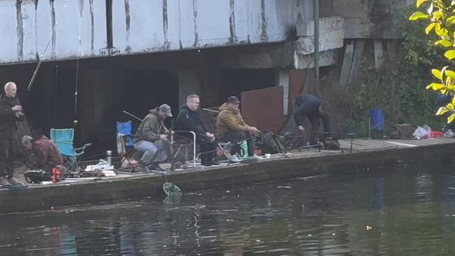 Рыбалка в Красногорске Биг Карп.