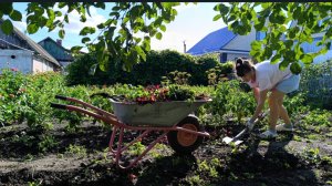 ВЕЧНАЯ СТРОЙКА В ЧАСТНОМ ДОМЕ/МУЖ ВСЁ СНОСИТ/БАНЯ СТАЛА ЛУЧШЕ/