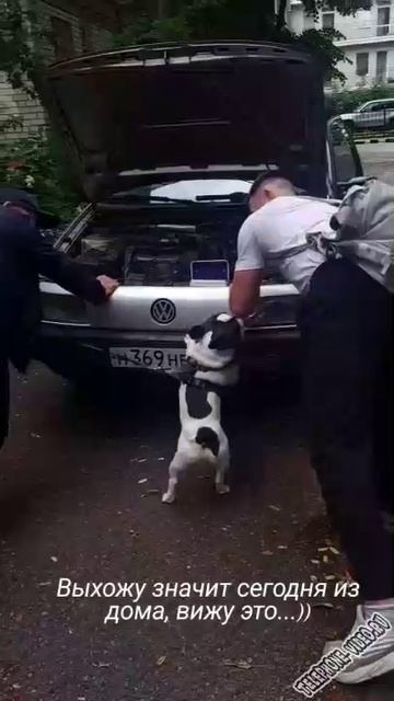 Помогает толкнуть