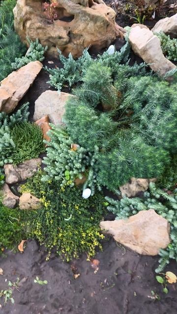 Что стало с альпийской горкой за сезон? смотреть онлайн