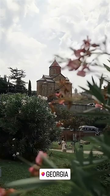 Хватит придумывать отговорки , почему ты до сих пор не поситил Грузию!