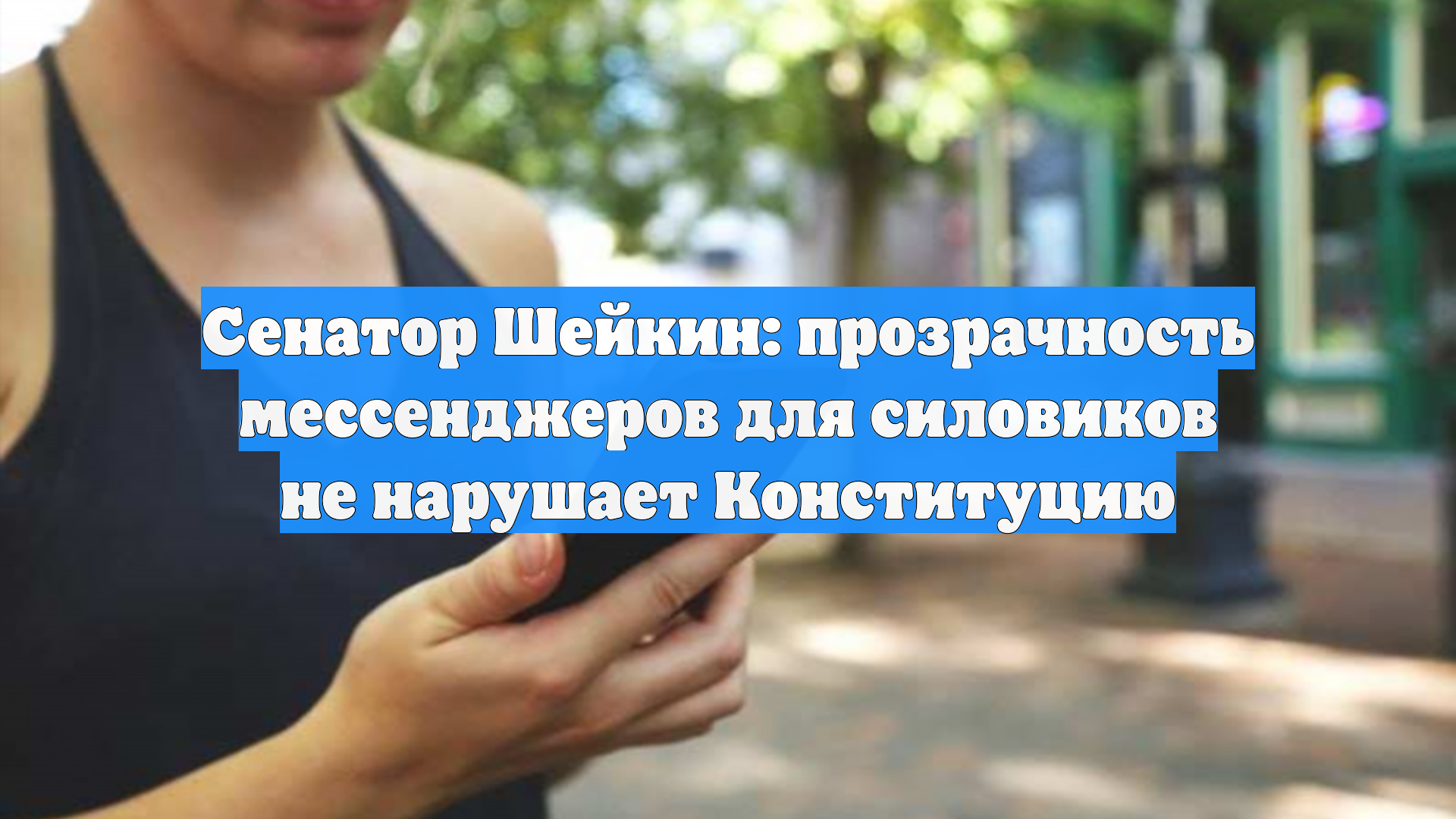 Сенатор Шейкин: прозрачность мессенджеров для силовиков не нарушает Конституцию