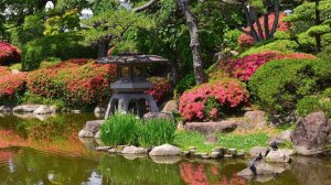 Японский парк_релакс видео