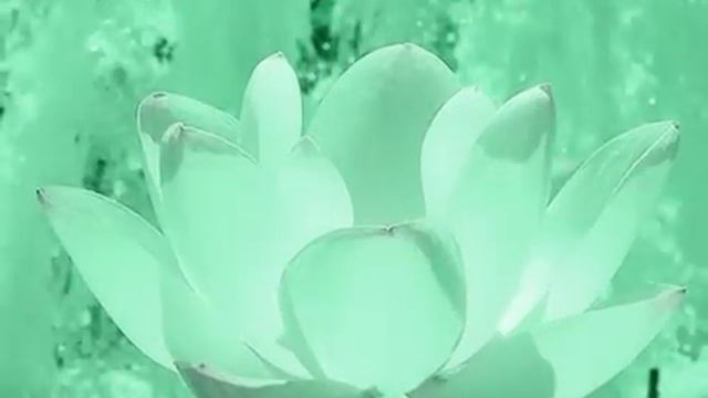 МУЗЫКА ИГОРЯ ДВУРЕЧЕНСКОГО (Поздравляю)