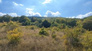 З/у Крым с. Высокое 1га крайний к лесу