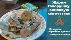 Жарим Говорушку пахучую (анисовую) -  Clitocybe odora. "Грибная кухня" 29 августа 2025 года.