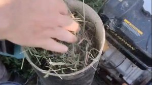 Видео От Клиента Травяная Гранула Из Недробленого Сена Возможно Только На Наших Грануляторах DR 150