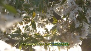 «А ЭТО ЖЕНА МОЕГО СЫНОЧКА. ОН ЕЕ НА МУСОРКЕ ПОДОБРАЛ, НАКОРМИЛ И ПРИЮТИЛ!» ЗАЯВИЛА СВЕКРОВЬ...