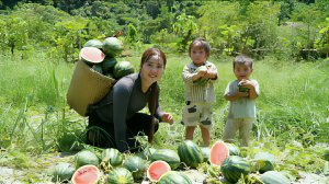 Сбор гигантских арбузов, чтобы продать на рынке. Варю кашу для маленькой дочери. Жизнь во Вьетнаме