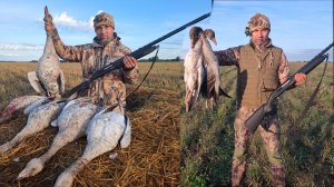 Первые гуси с МР 153 !!! Доволен ??? Как не оглохнуть на охоте ???