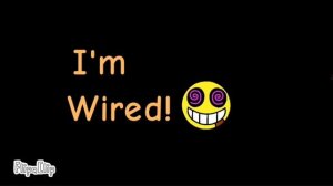 песня,объединение Deidame Critics и Branning Critters.