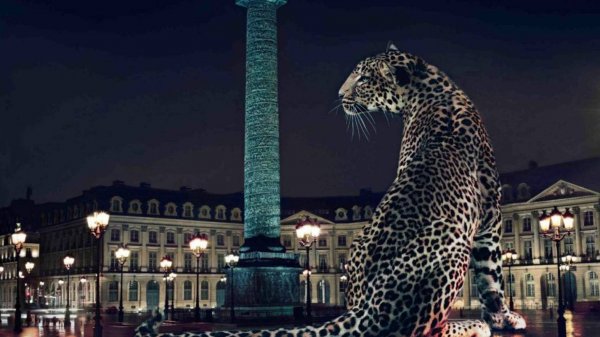 Dr. PROJECT POINT BLANK - A Song For V