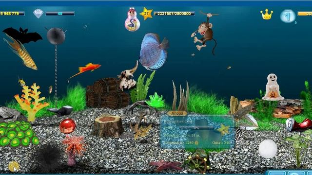 Игровой аквариум #1. Кормление рыбок и замена взрослых на молодняк. День *404 смотреть онлайн