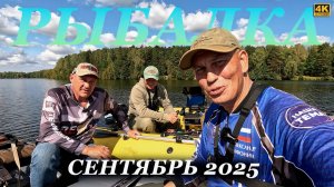 Лучшая ПРИМАНКА на всю РЫБУ когда нет клёва