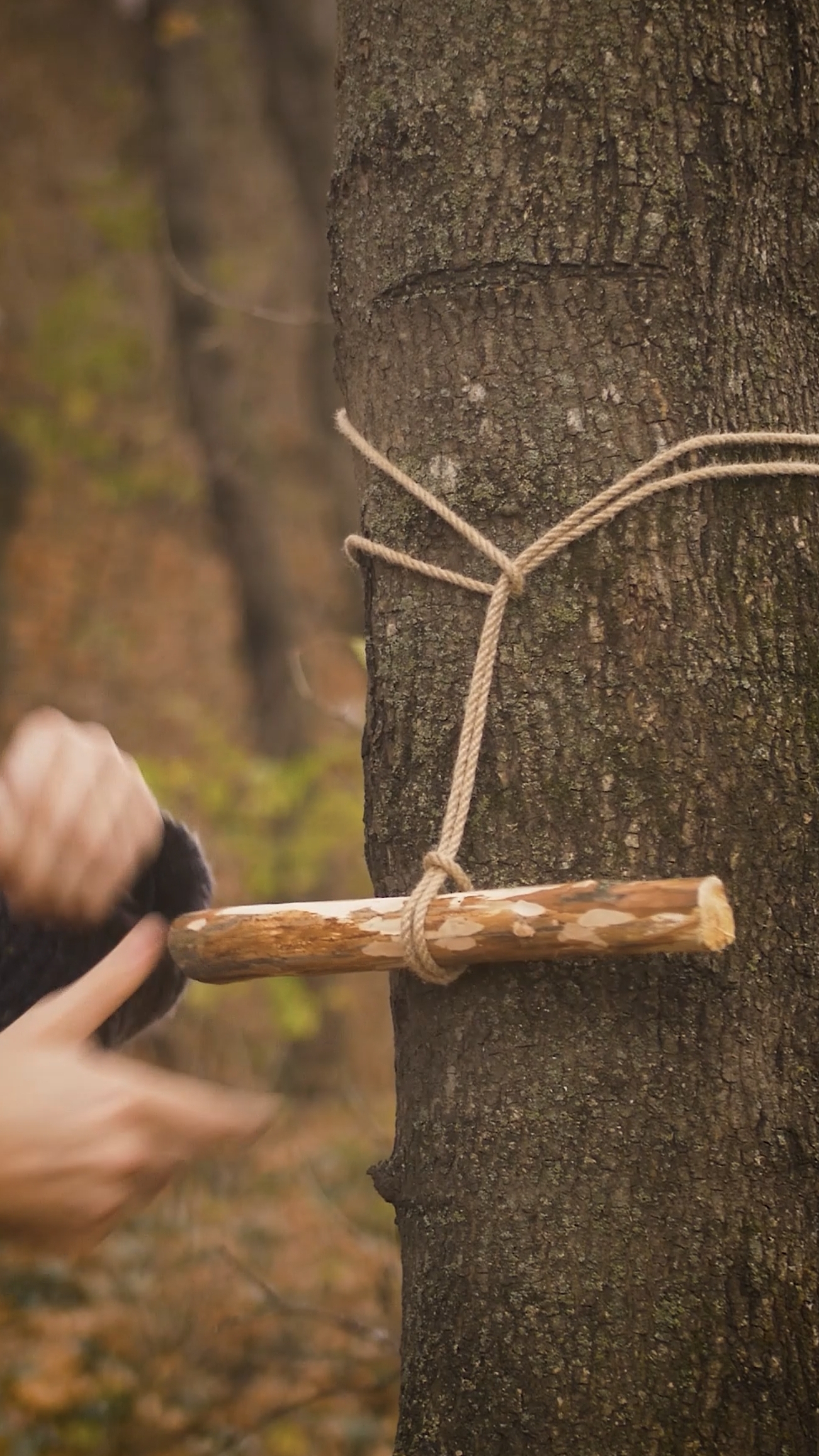 Хитрости с верёвкой смотреть онлайн