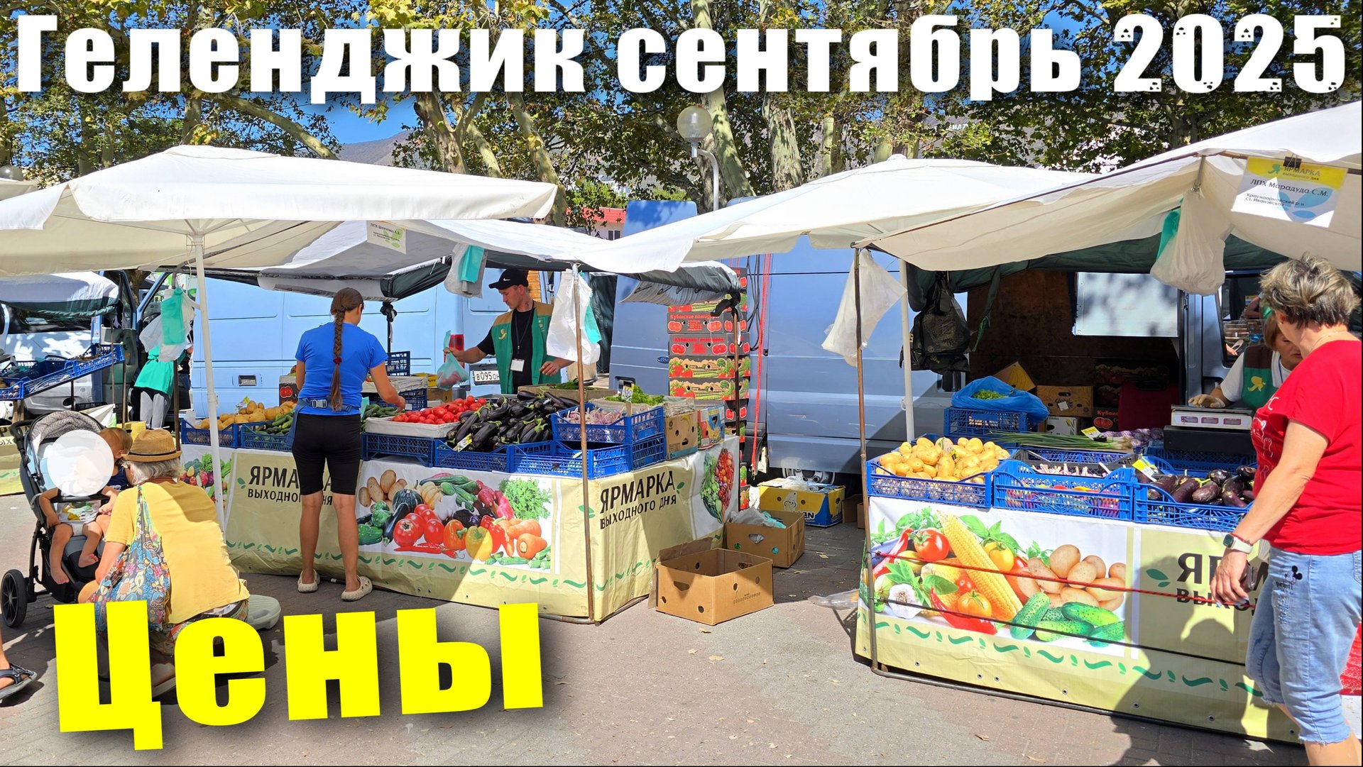Геленджик сентябрь 2025 пляж "Красная Талка" / Другая дорога на Ярмарку и Цены на продукты