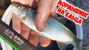 ЕЛЕЦ НА MIFINE AIR SPIN. МОРМЫШИНГ НА АНГАРЕ.