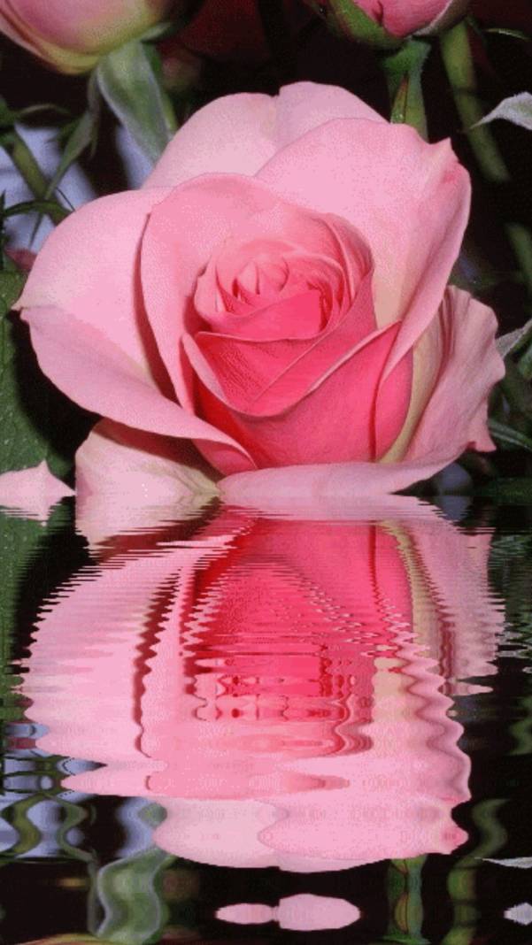 Жизнь ... смотреть онлайн