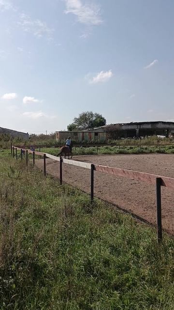 Мама Надя и дочка Настя одновременно на тренировке сегодня #horse #лошади #equestrian #калина #кама