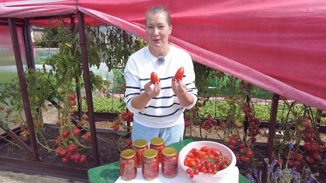 Садовый Мир