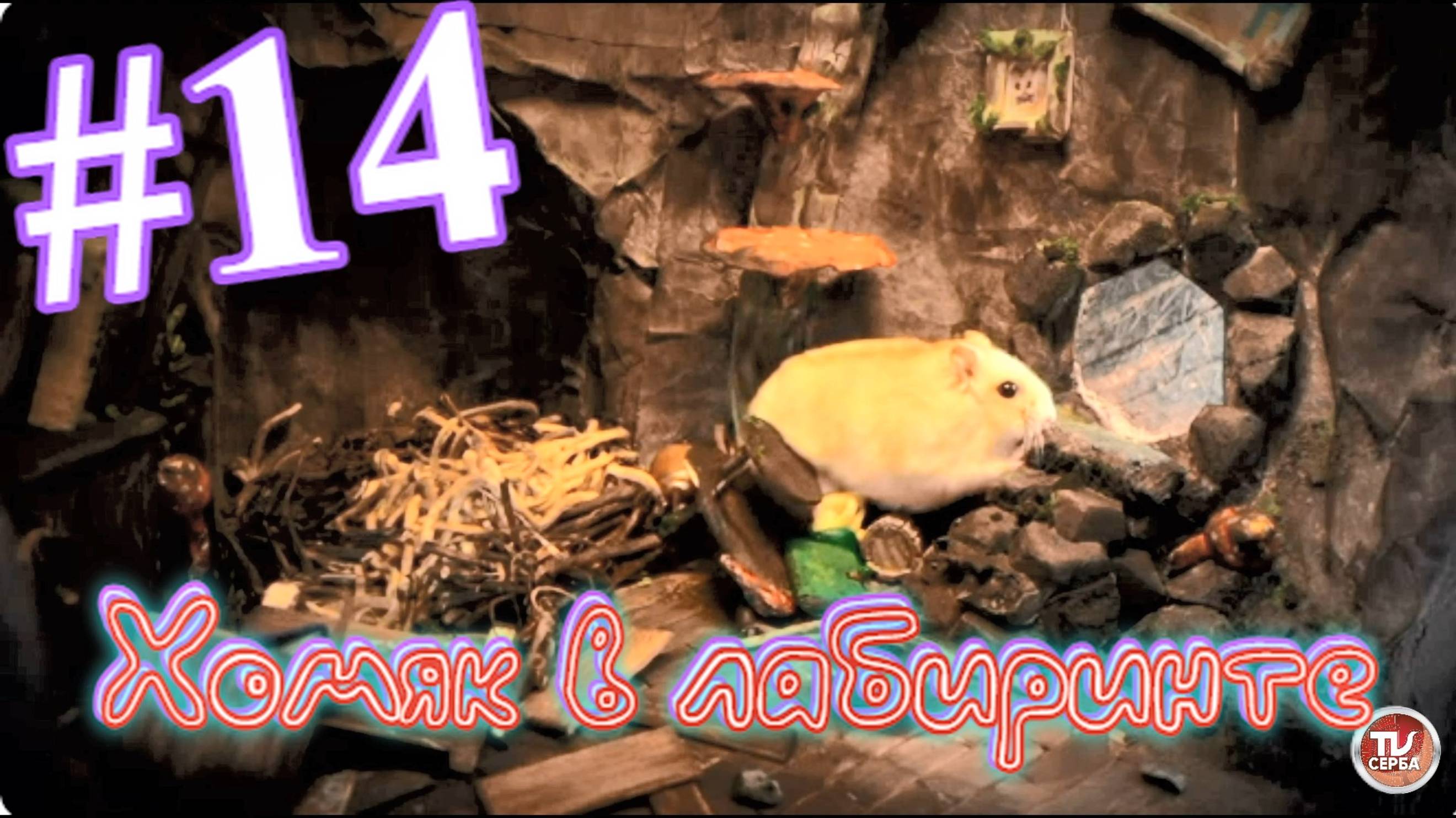 Хомяк в лабиринте (14 серия) смотреть онлайн