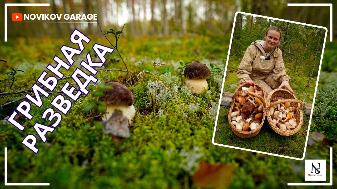 Грибная разведка 05 сентября 2025. Выборгский район.