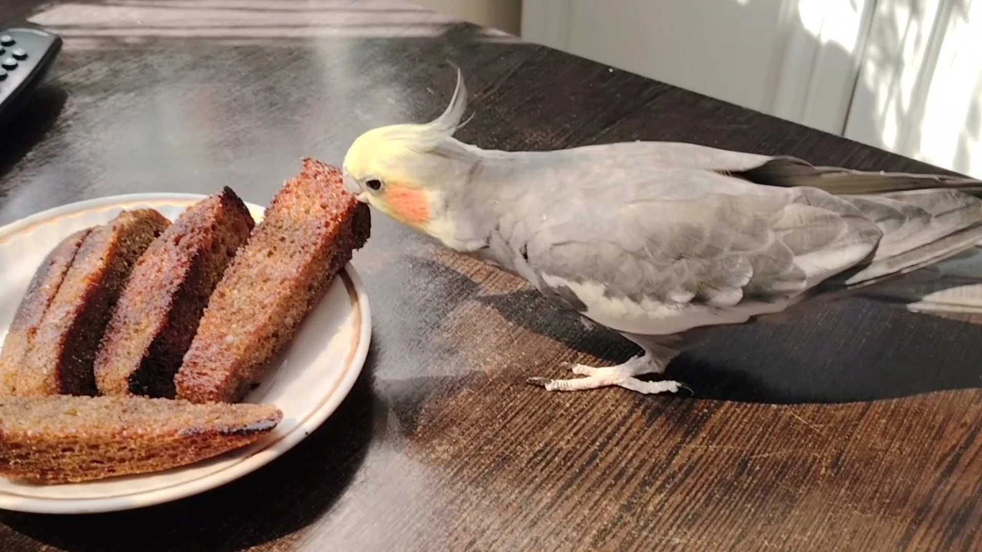 Ейск ! Жизнь на пенсии сплошные выходные, немного болталки о разном 07-09-2025. смотреть онлайн