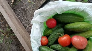 СОБИРАЕМ  В ДОРОГУ СЫНА/ПОЖАРИЛИ ШАШЛЫКИ, ПРОВОДИЛИ.