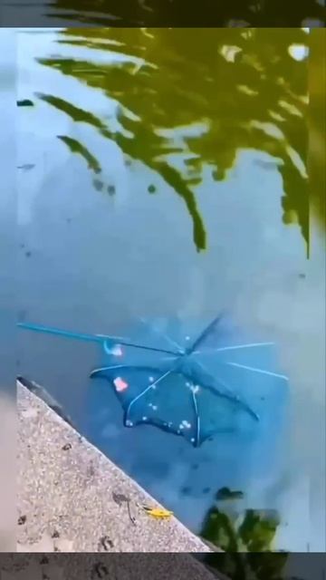 садок-ловушка--яндекс маркет  Https://market.yandex.ru/cc/7jJRXu   доставка до 7 дней.