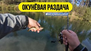 #мормышинг | Этот карьер набит окунями | Окуневый жор |