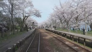 🚄 4К SmartTV ➤ Железная дорога Ното Нанао-Анамидзу, Япония!