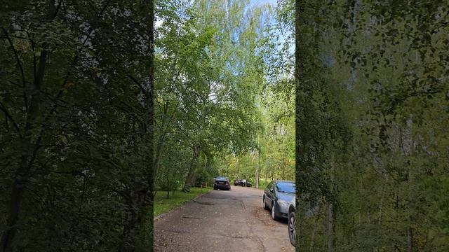 Дубна парк Семейного отдыха 08.25