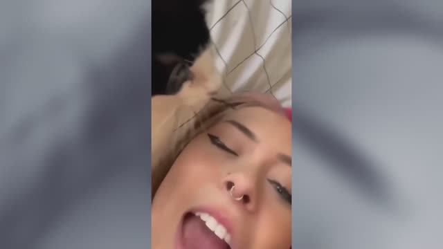 Смотреть самая смешное видео бесплатно - NeverLand