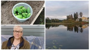 "Жизнь на пенсии".. Мои будни, чем я занималась?