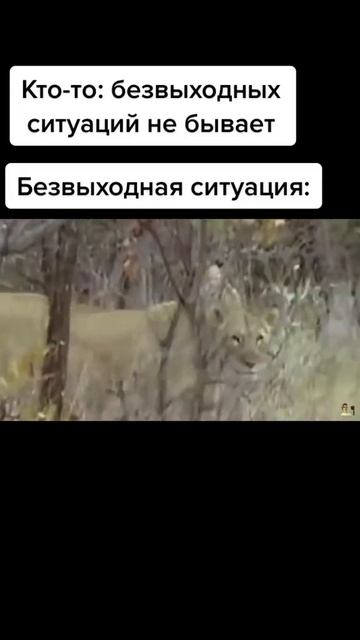 Пранк вышел из под контроля смотреть онлайн