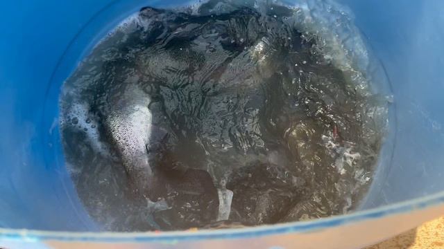 Рыбалка в Красногорске Биг Карп.