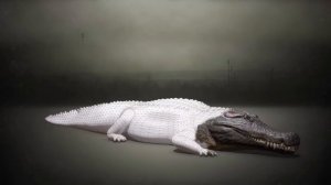 Древние гиганты Земли: Ужасный волк, Мегалодон и другие Доисторические Монстры!