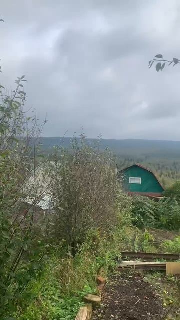 Родниковый смотреть онлайн