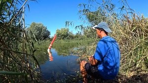 ВСЕ ТАК ЛОВИЛИ. БАМБУКОВАЯ УДОЧКА СО ВРЕМЁН СССР. Рыбалка на поплавок в камышах. Поплавочная удочка