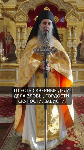 КАКИЕ ПЛОДЫ МЫ ПРИНОСИМ? | ИЕРОМОНАХ НАУМ | ВАЛААМСКИЙ МОНАСТЫРЬ #проповедь #православие #притча смотреть онлайн