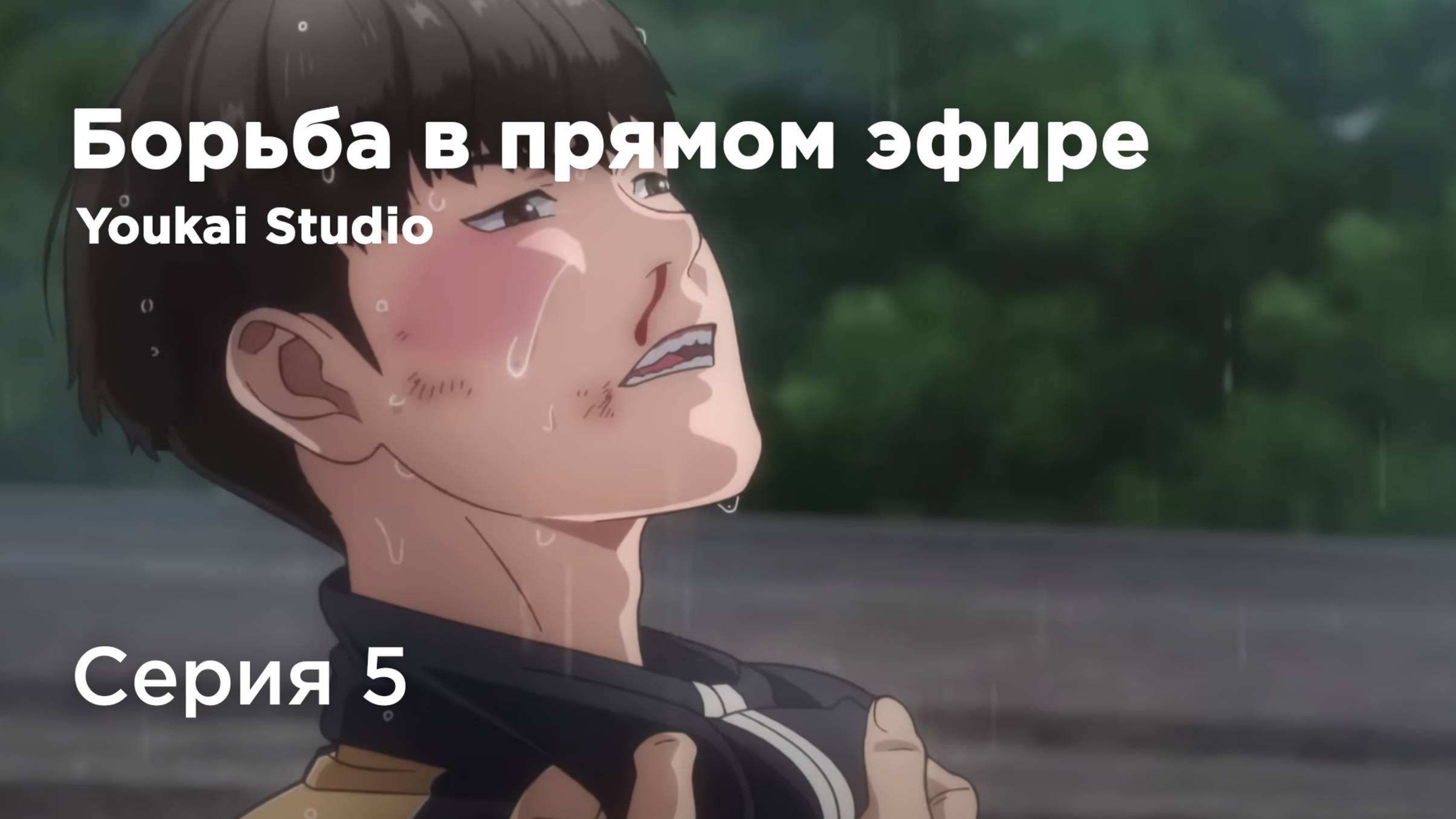 Борьба в прямом эфире / Kenka Dokugaku - 5 серия | Youkai Studio