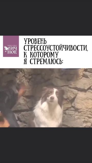 Эта улыбка 😁 смотреть онлайн