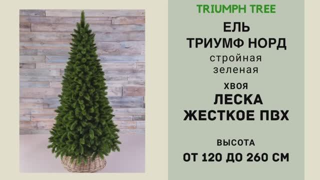 Triumph Tree - ОБЗОР искусственной ели Триумф Норд стройная зеленая смотреть онлайн