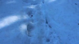 По ТРОПинкАМ паМЯТИ, О: создании видеоКнигиПамяти "О тех, кто рядОМ БЫЛ", #КомсомольскнаПечоре